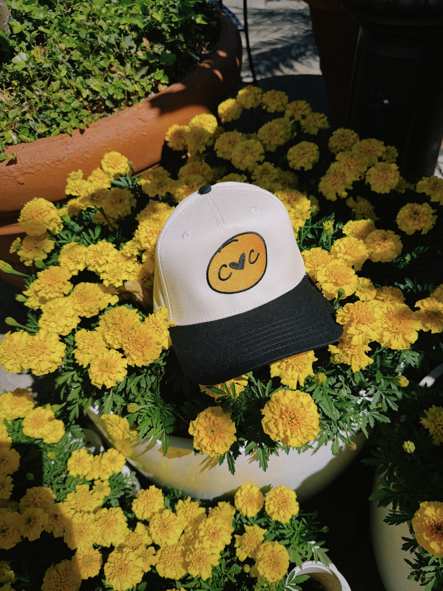 The Logo Cap