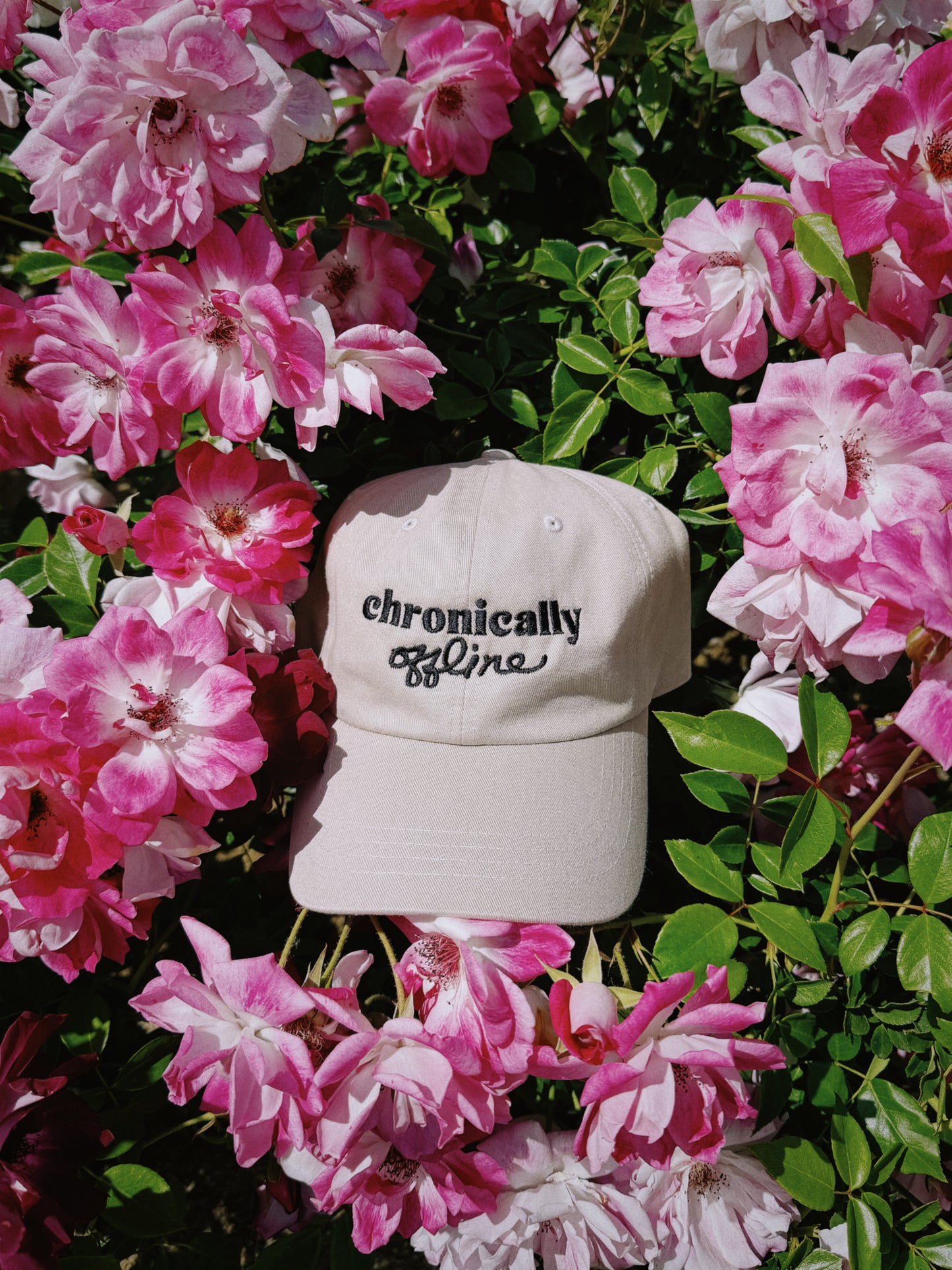 The Chronically Offline Hat