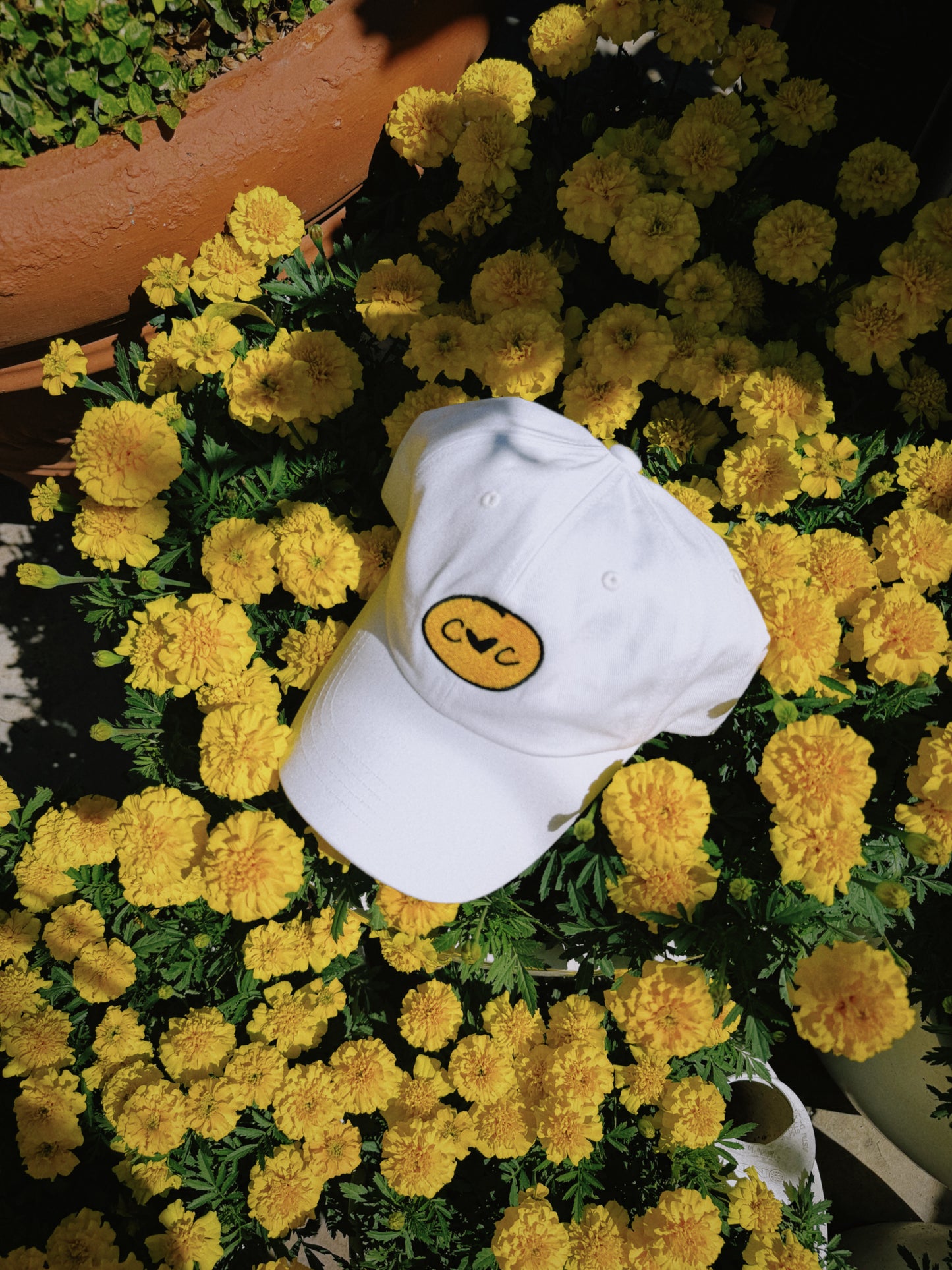 The Logo Hat